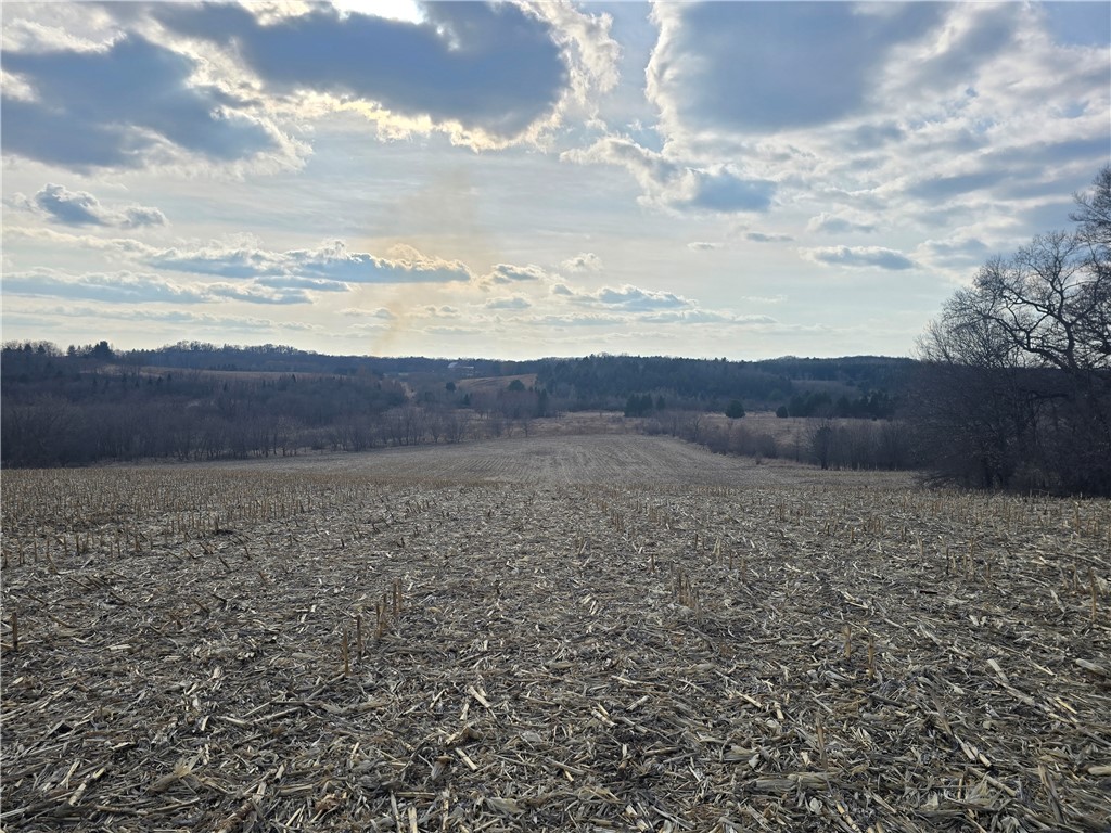 Lot 59 Roma Street Eau Claire WI 54701 1591553 image1