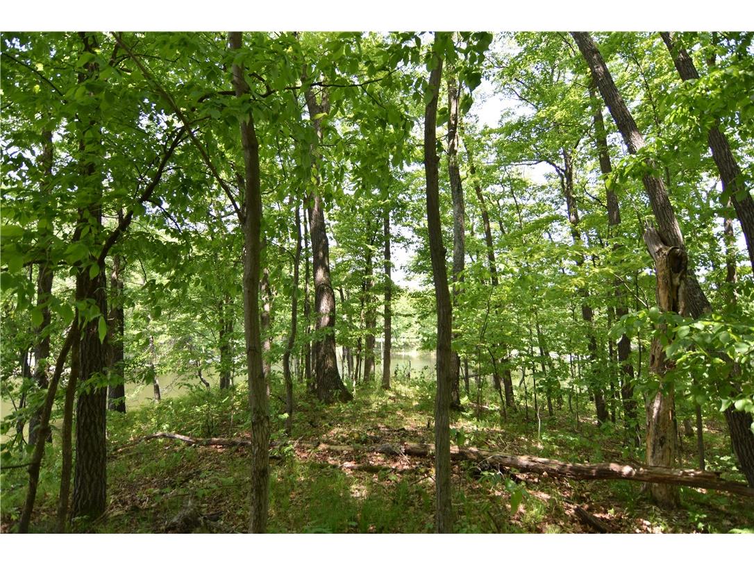 Lot 6 151st Street New Auburn WI 54757 - NORTH TRIPLE 1592444 image17