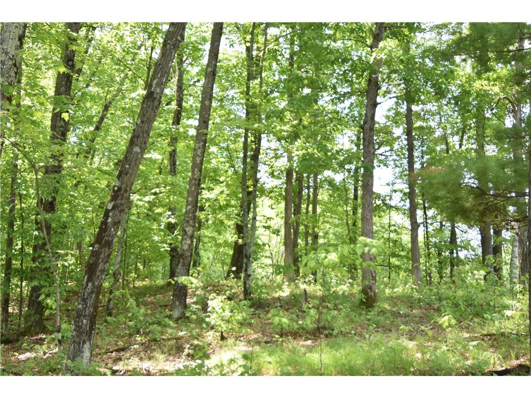 Lot 6 151st Street New Auburn WI 54757 - NORTH TRIPLE 1592444 image21