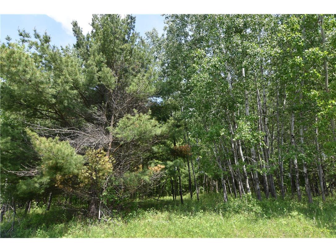 Lot 6 151st Street New Auburn WI 54757 - NORTH TRIPLE 1592444 image22