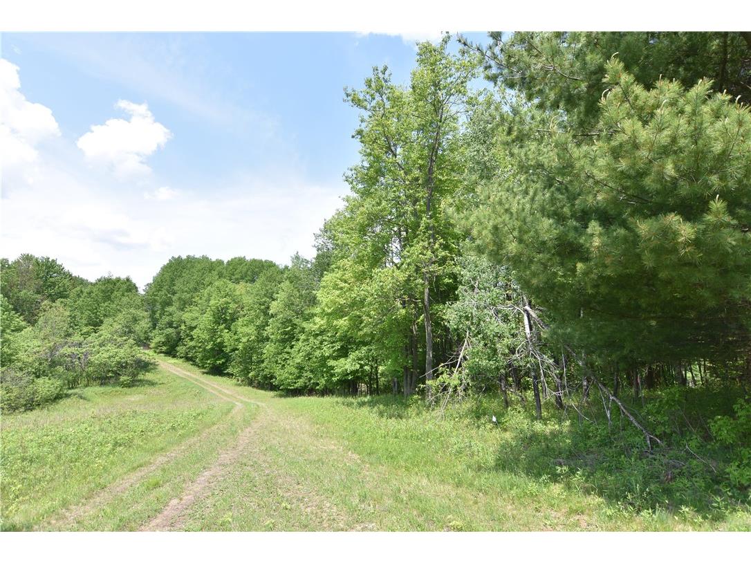 Lot 6 151st Street New Auburn WI 54757 - NORTH TRIPLE 1592444 image9