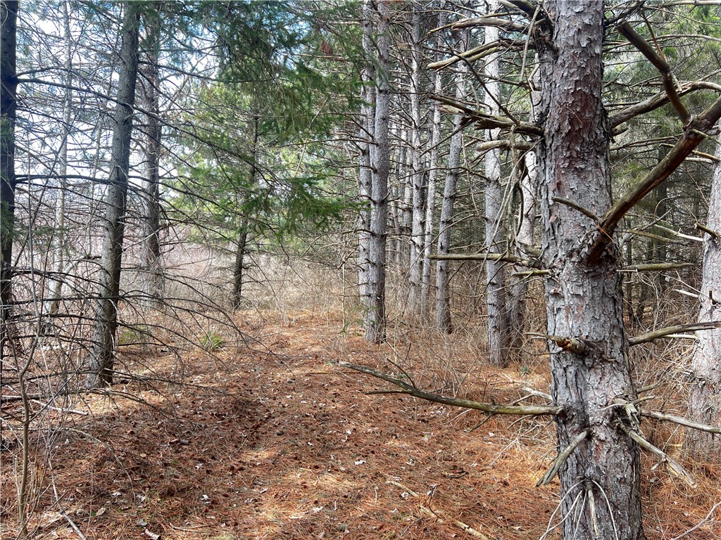 Lot 6 3 1/4 5th Street Cumberland WI 54829 1590329 image1