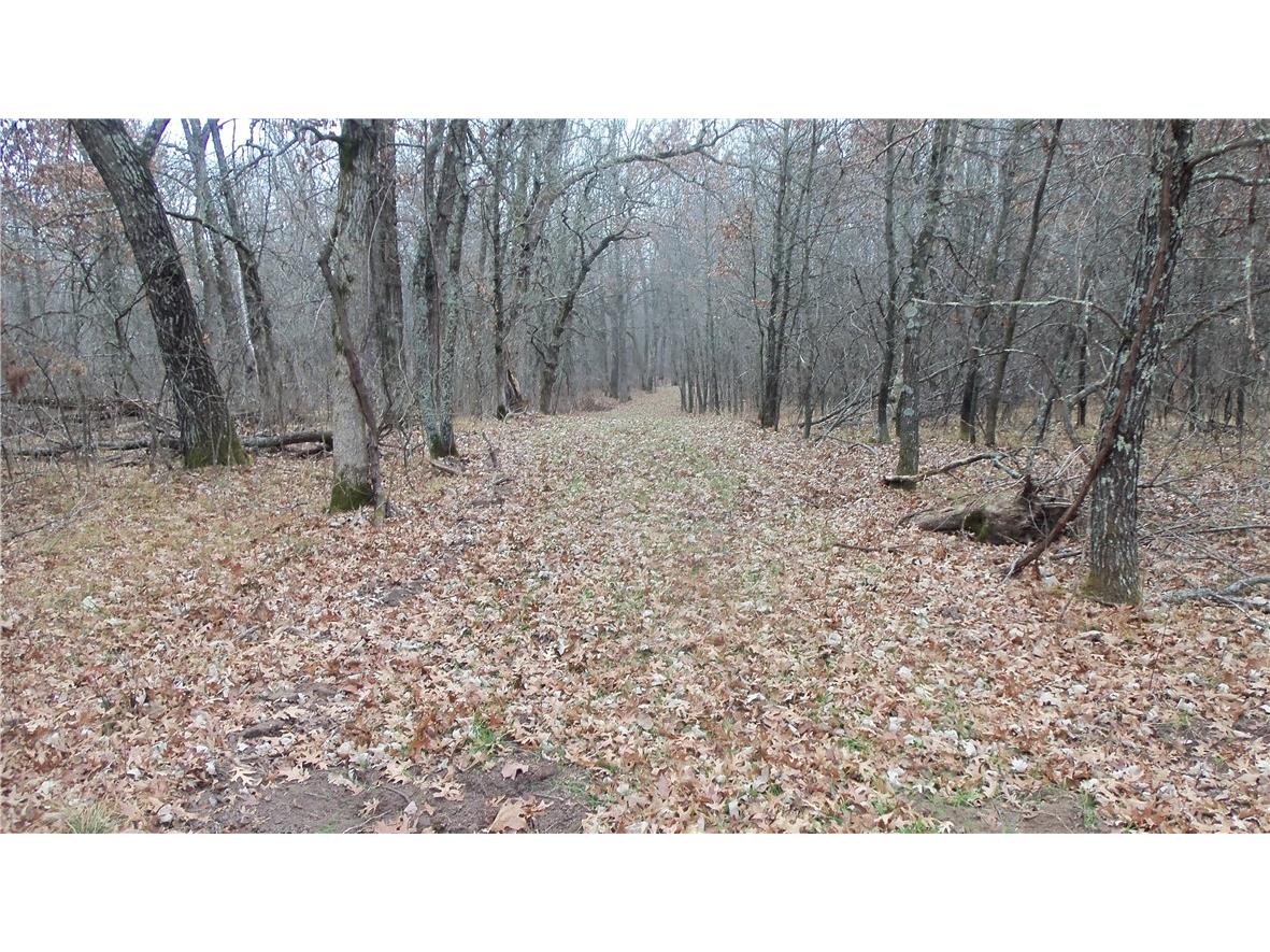 Lot 6 Canute Creek Trl Grantsburg WI 54840 1597811 image3