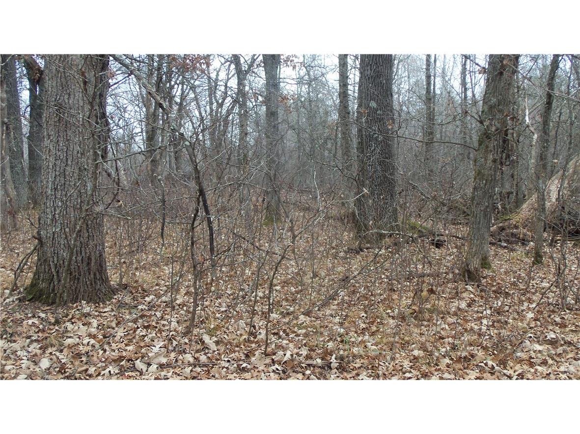 Lot 6 Canute Creek Trl Grantsburg WI 54840 1597811 image4