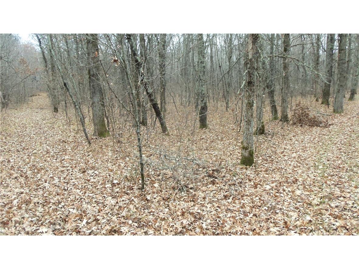 Lot 6 Canute Creek Trl Grantsburg WI 54840 1597811 image5