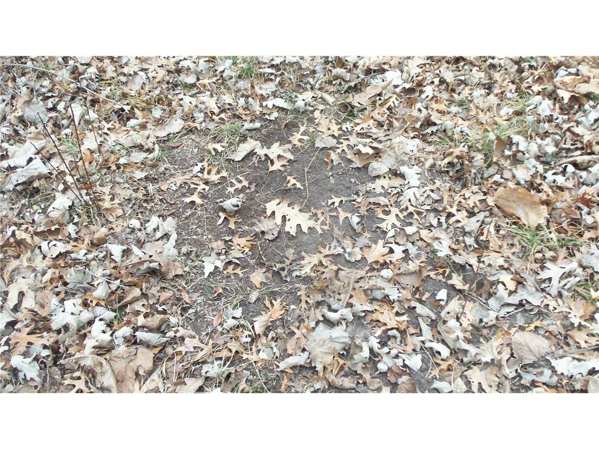 Lot 6 Canute Creek Trl Grantsburg WI 54840 1597811 image6