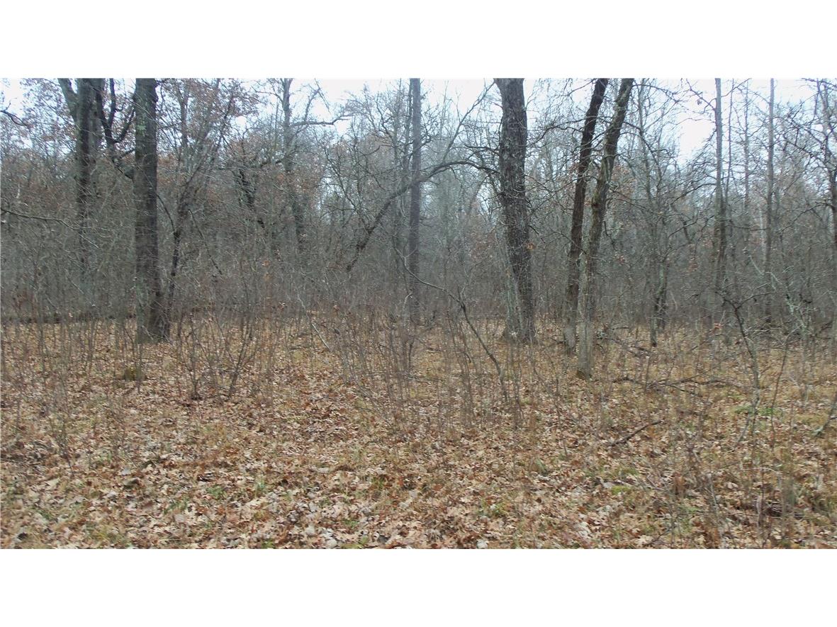 Lot 6 Canute Creek Trl Grantsburg WI 54840 1597811 image8