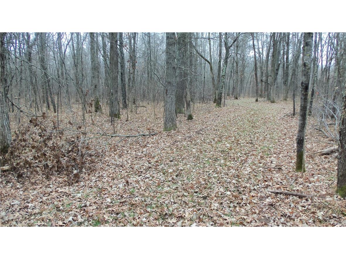 Lot 6 Canute Creek Trl Grantsburg WI 54840 1597811 image9