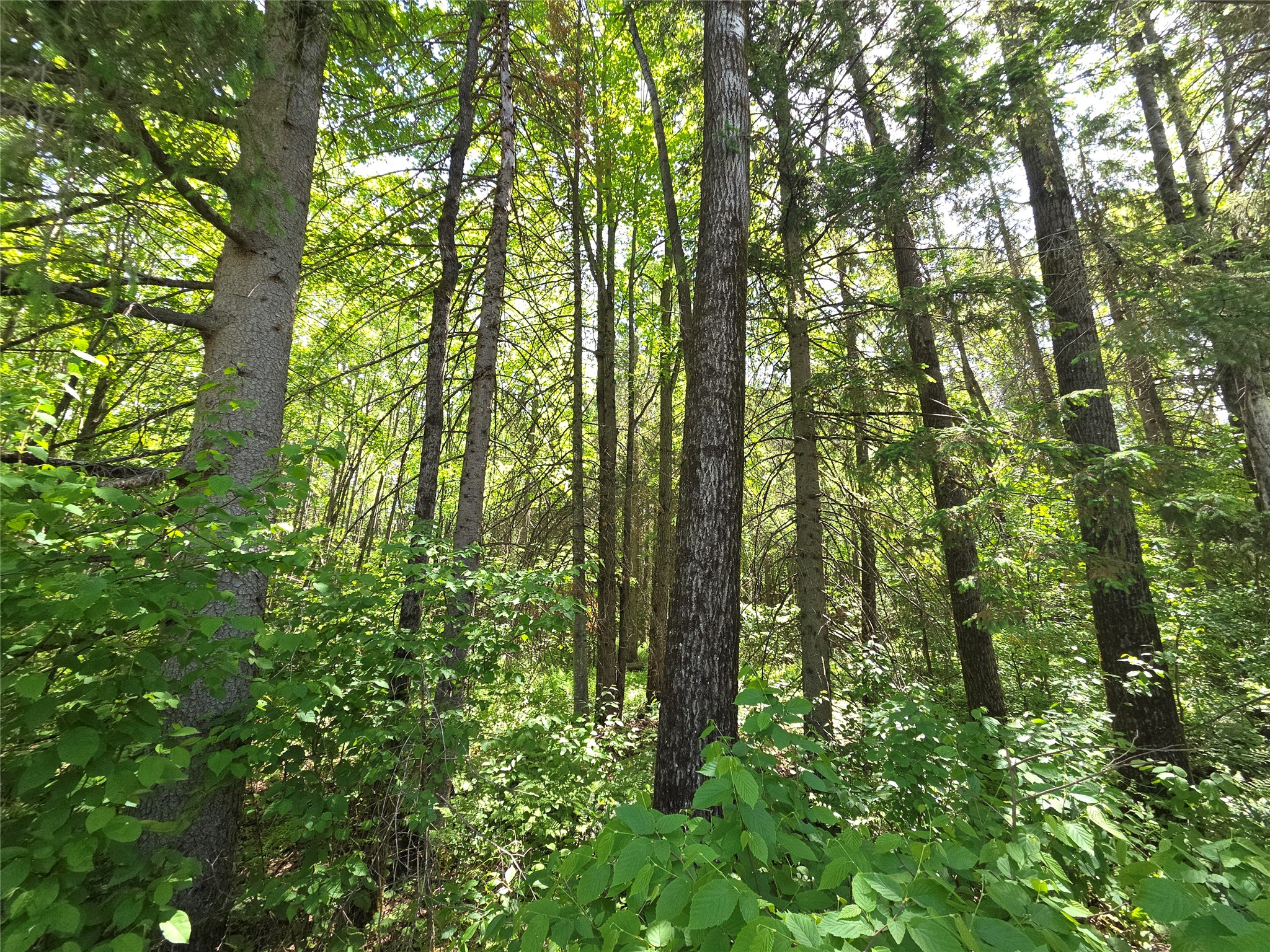 Lot 6 E Solberg Lake Road Phillips WI 54555 1601652 image1