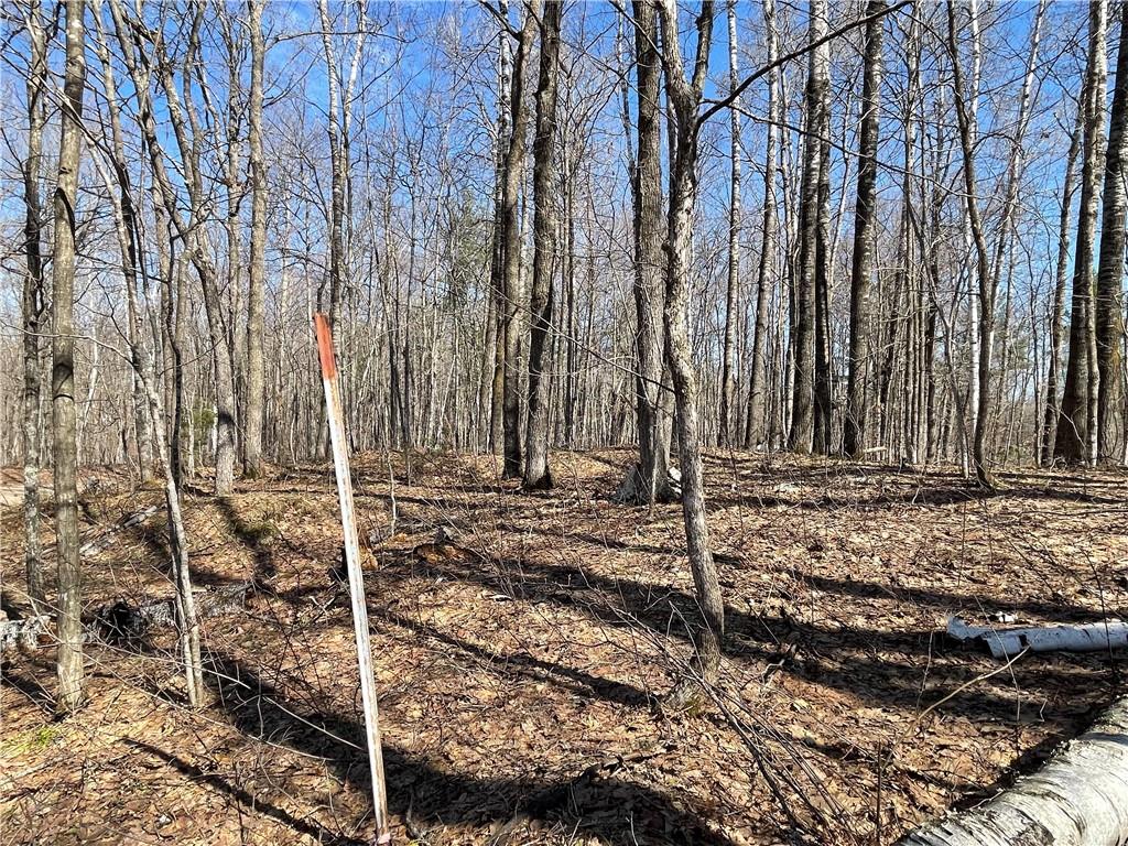 Lot 6 Eagles Nest Road Birchwood WI 54817 1572738 image1