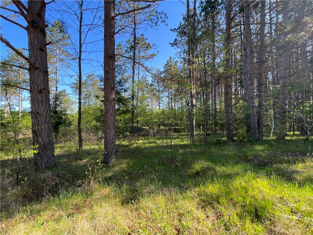 Lot 6 Hermosa Lane Hayward WI 54843 1593888 image1