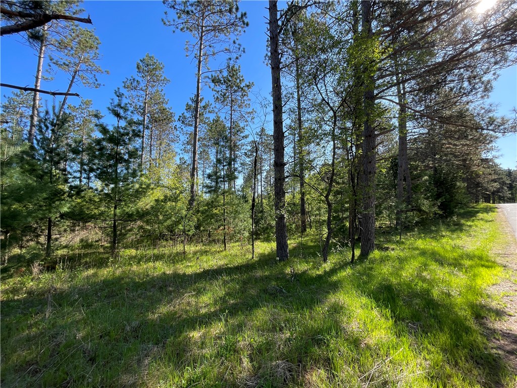 Lot 6 Hermosa Lane Hayward WI 54843 1593888 image6