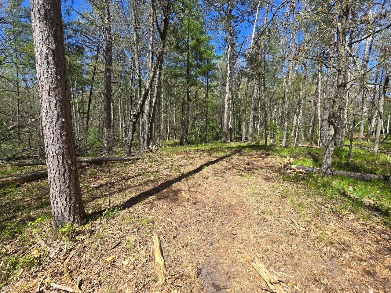 Lot 6 Hwy 70 Spooner WI 54801 - Yellow 1601218 image10