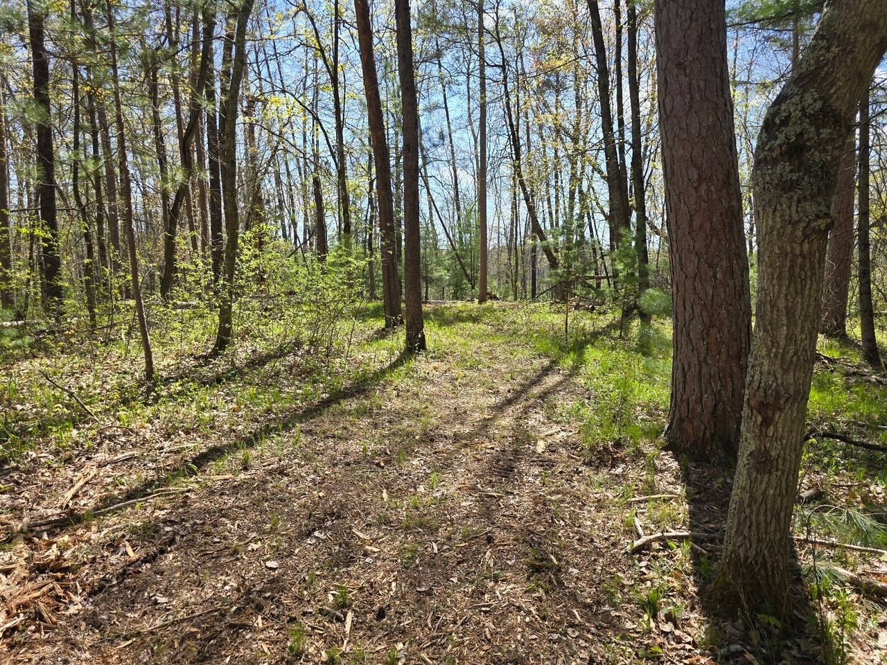 Lot 6 Hwy 70 Spooner WI 54801 - Yellow 1601218 image11