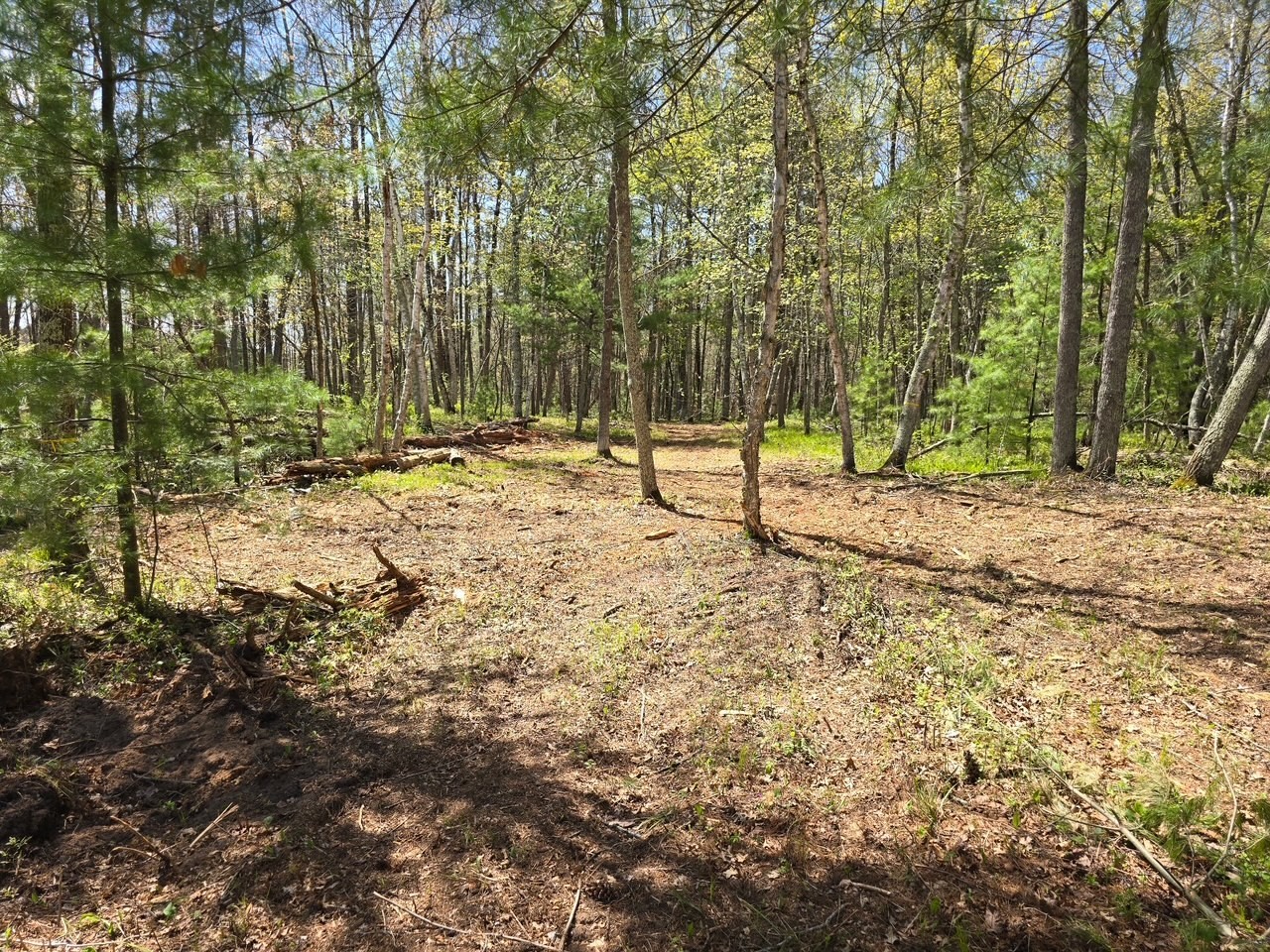 Lot 6 Hwy 70 Spooner WI 54801 - Yellow 1601218 image12