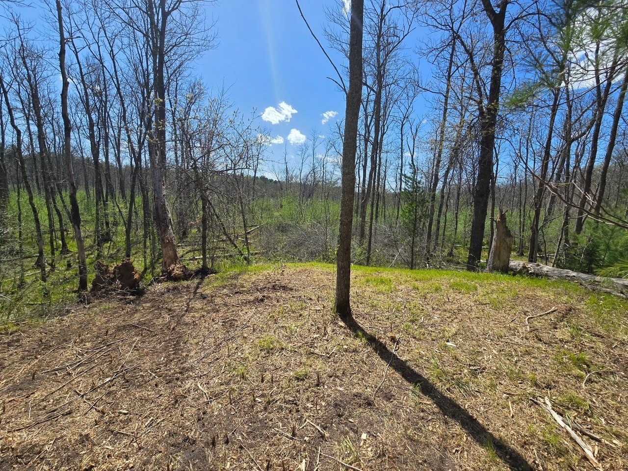 Lot 6 Hwy 70 Spooner WI 54801 - Yellow 1601218 image8