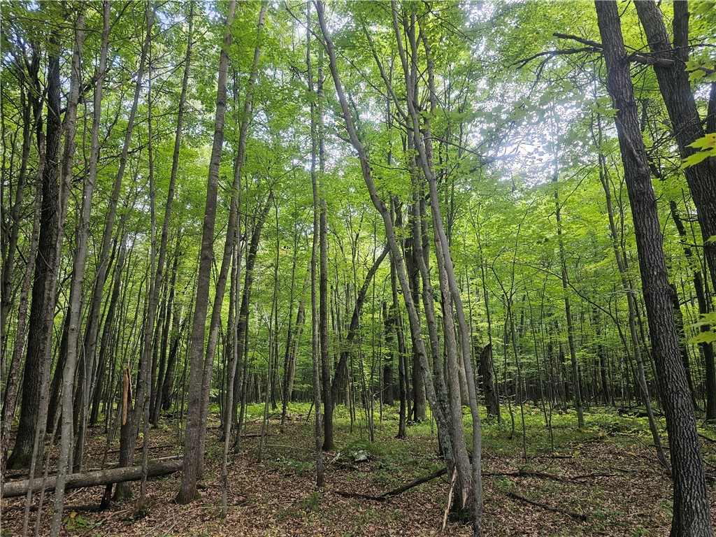 Lot 6 Ken Can Lane Webster WI 54893 1595371 image1