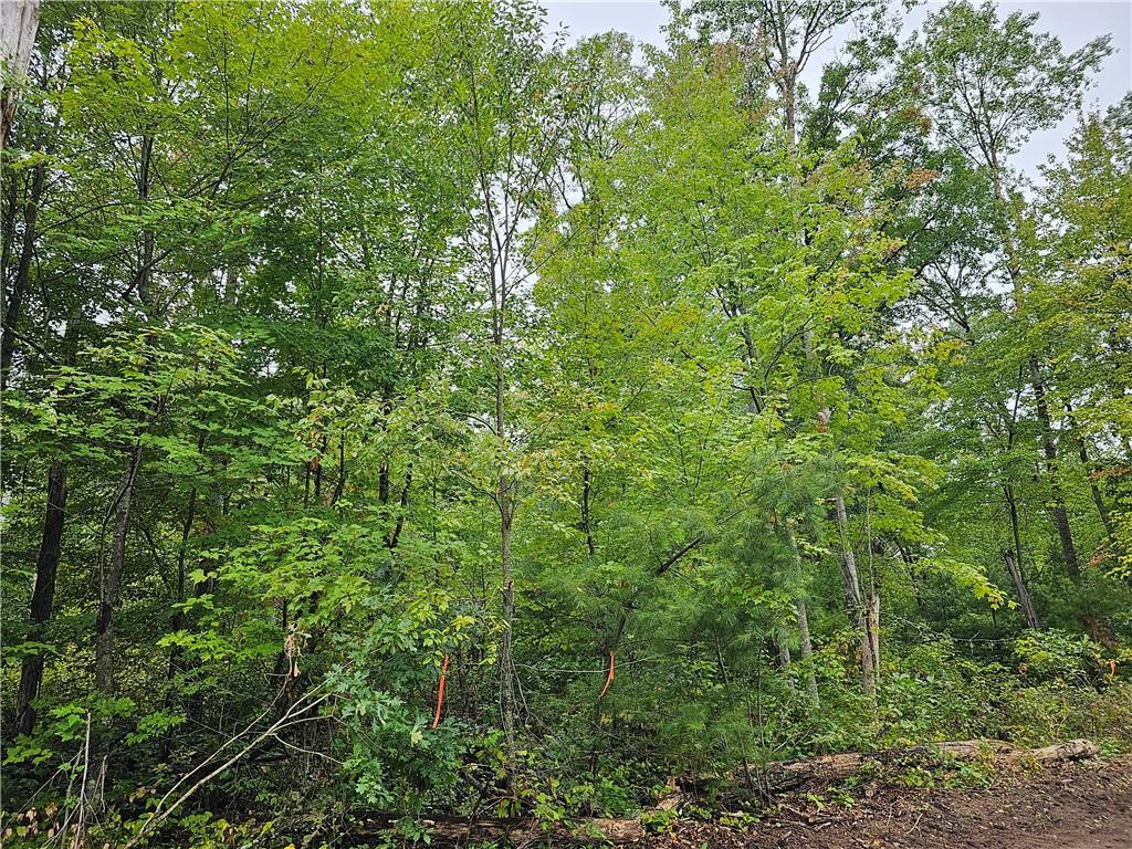 Lot 6 Maria's Way Webster WI 54893 1577091 image1