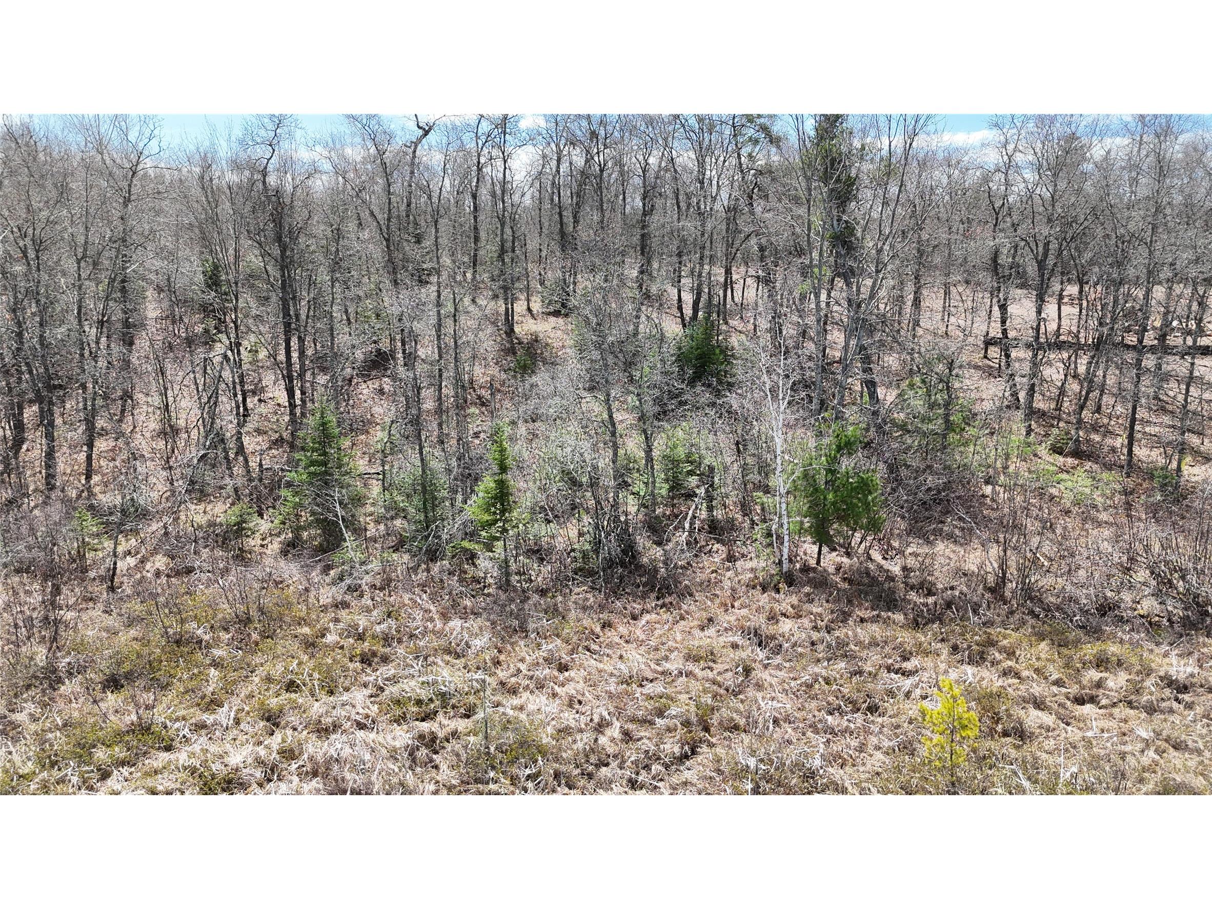 Lot 6 Secluded Lane Gordon WI 54838 - Minong / Cranberry 1601075 image31