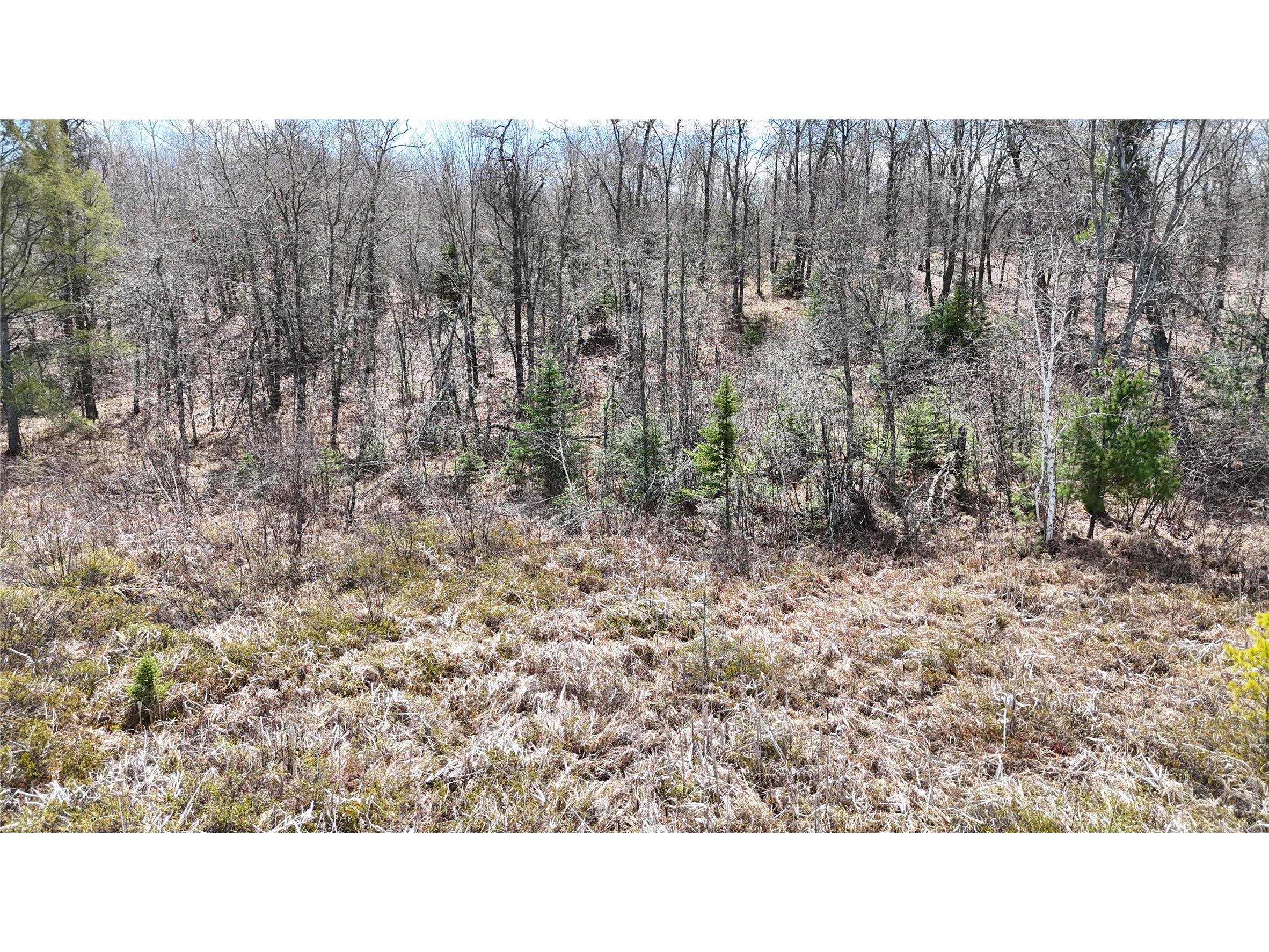Lot 6 Secluded Lane Gordon WI 54838 - Minong / Cranberry 1601075 image36