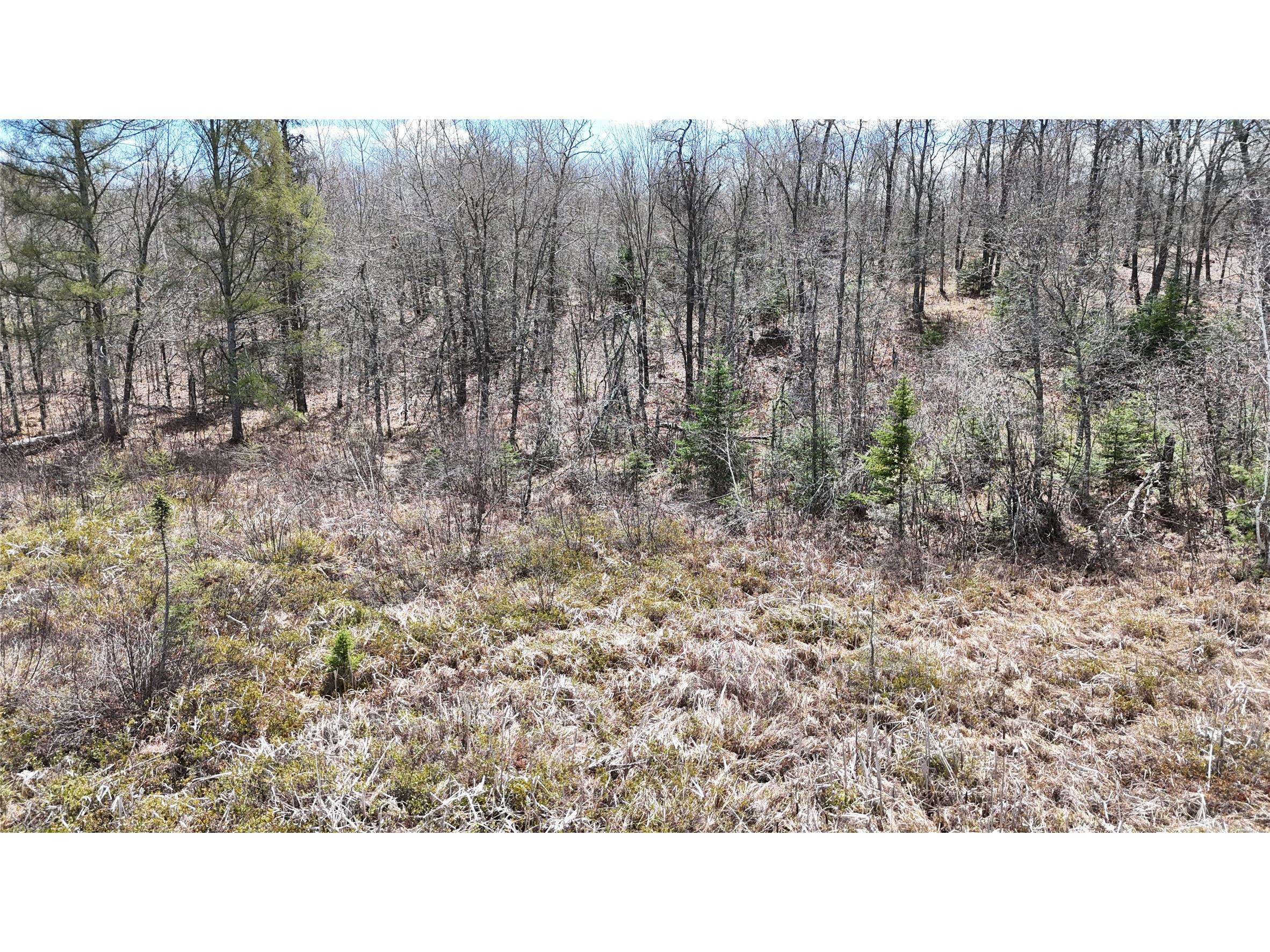 Lot 6 Secluded Lane Gordon WI 54838 - Minong / Cranberry 1601075 image37