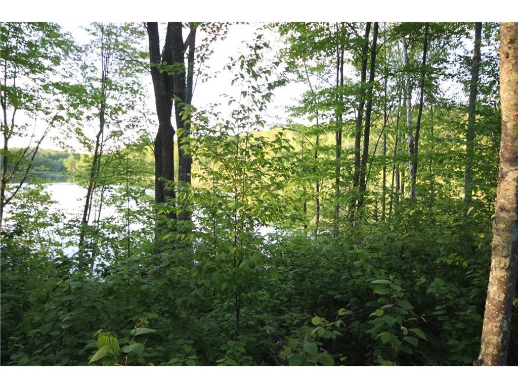 Lot 6 Timber Wolf Drive, Springbrook, WI 54875 | MLS: 1524780 | Edina