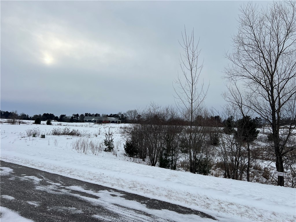 Lot 61 21 1/4 Street Rice Lake WI 54868 1597593 image3