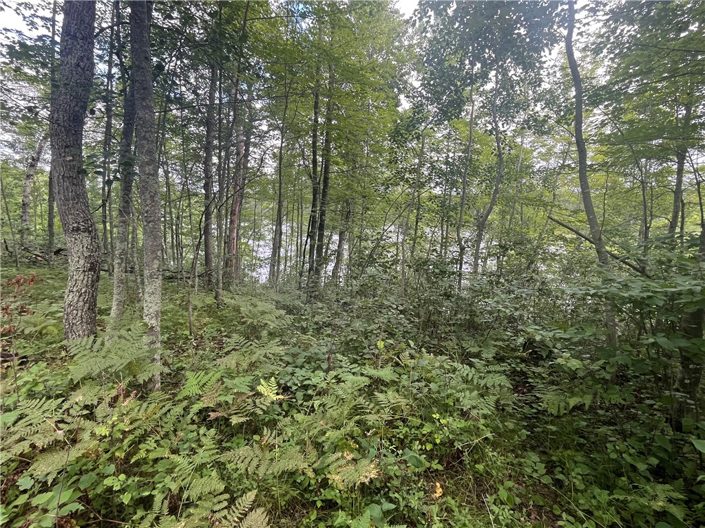 Lot 61 Honey Tree Terrace Danbury WI 54830 1596716 image14