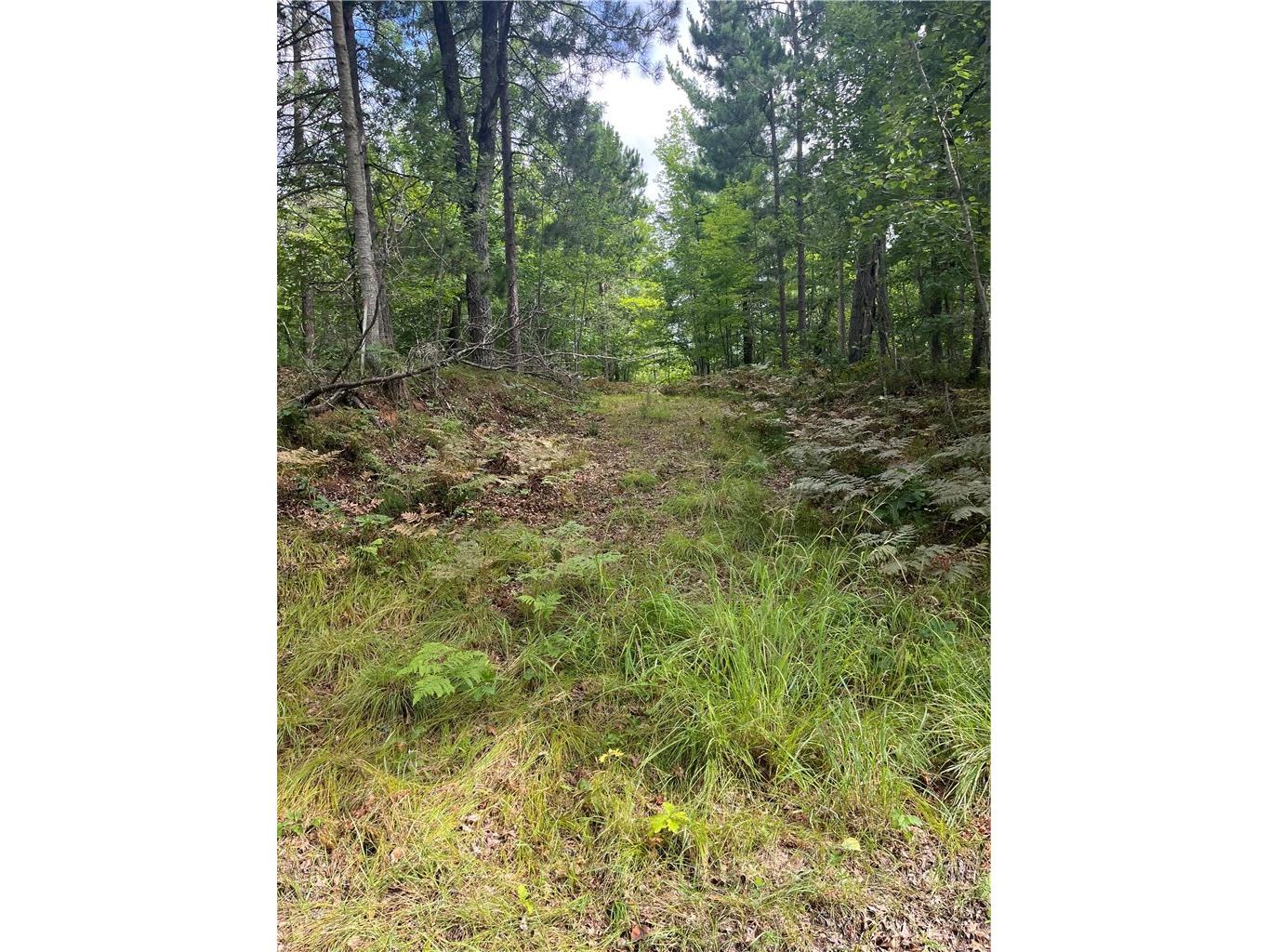 Lot 62 Honey Tree Terrace Danbury WI 54830 1596718 image14