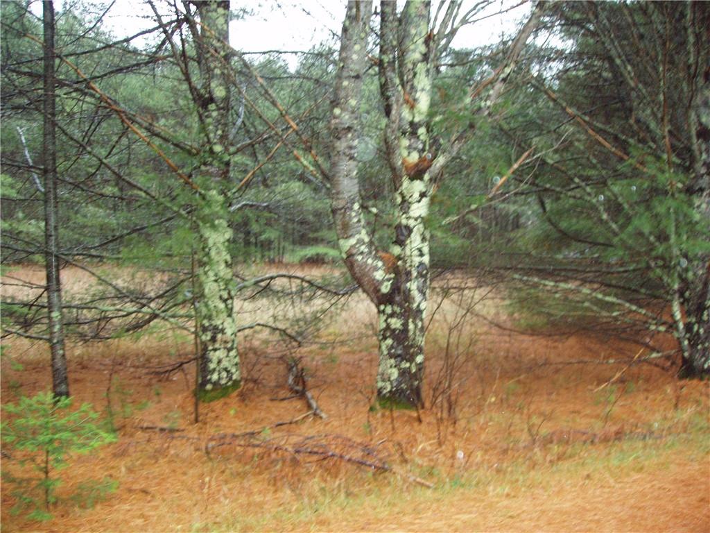 Lot 62 on Aspen Lane Park Falls WI 54552 1570304 image1