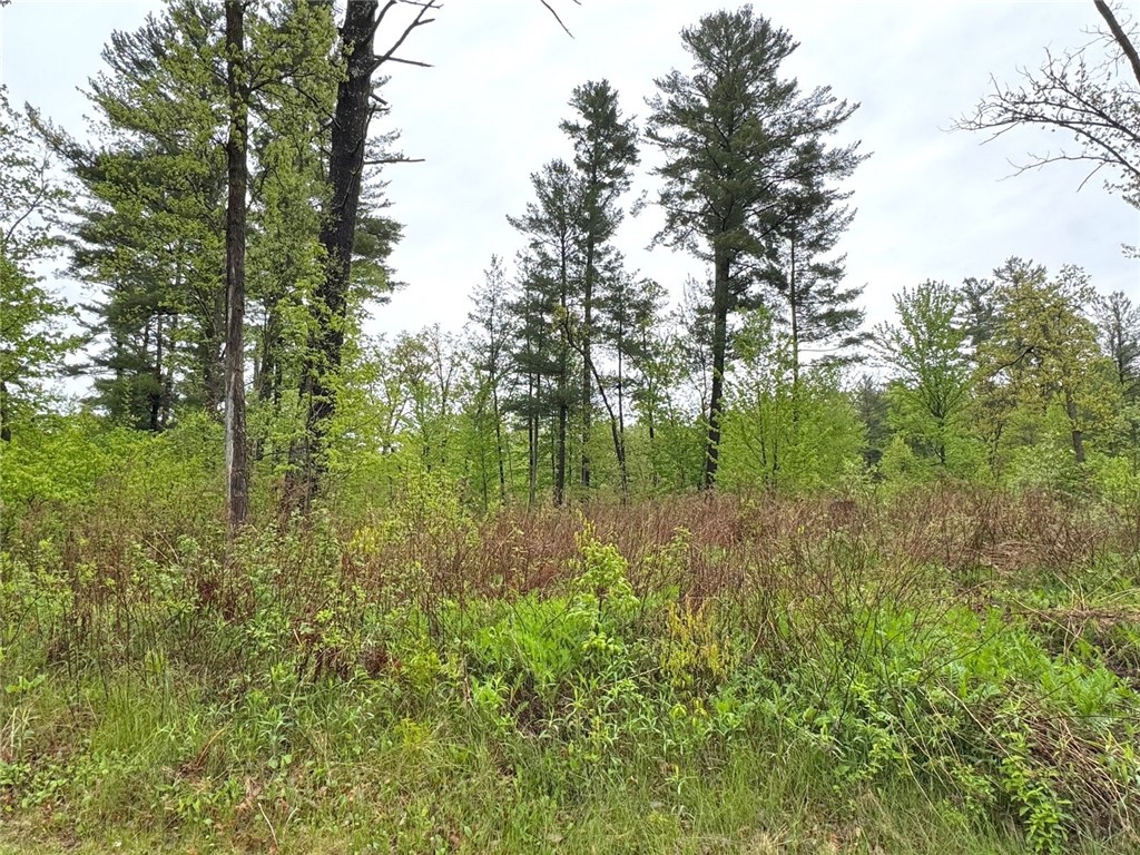 Lot 63 23 1/2 Street Cameron WI 54822 - Prairie 1591879 image3