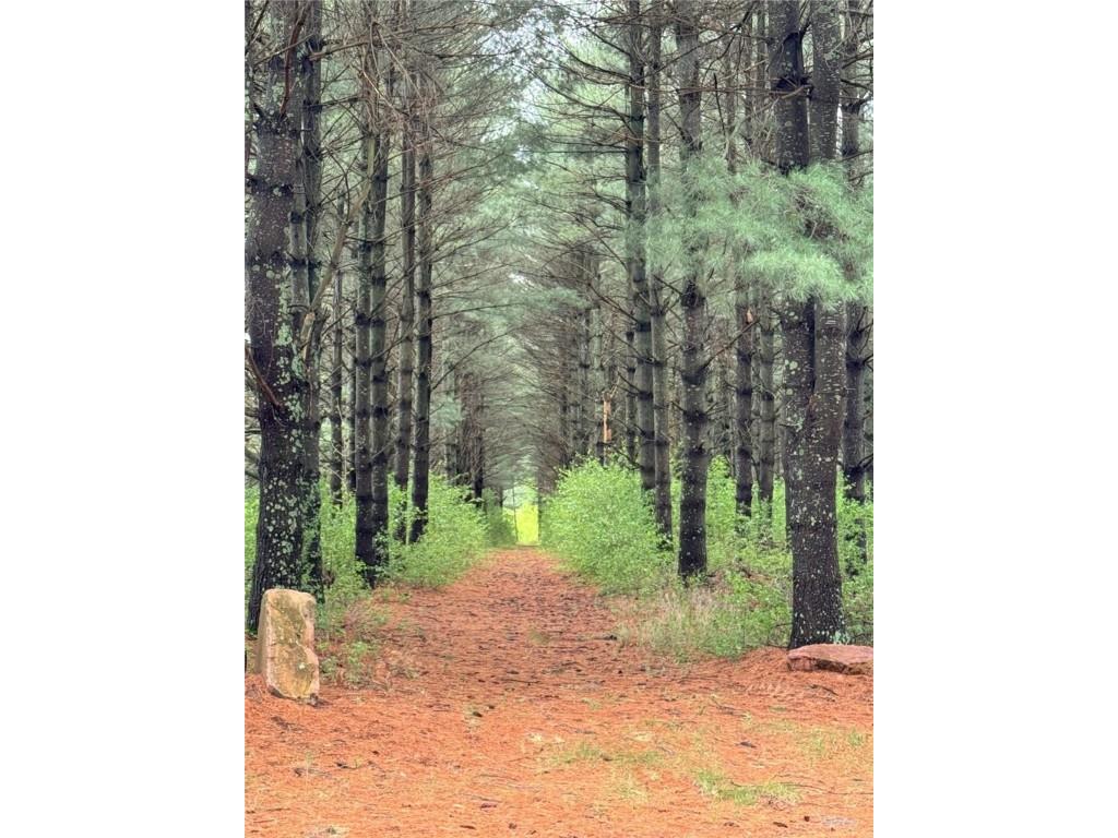 Lot 63 23 1/2 Street Cameron WI 54822 - Prairie 1591879 image6