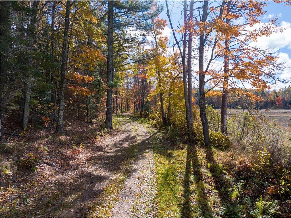Lot 65 Vasa Road Hayward WI 54843 1597002 image13