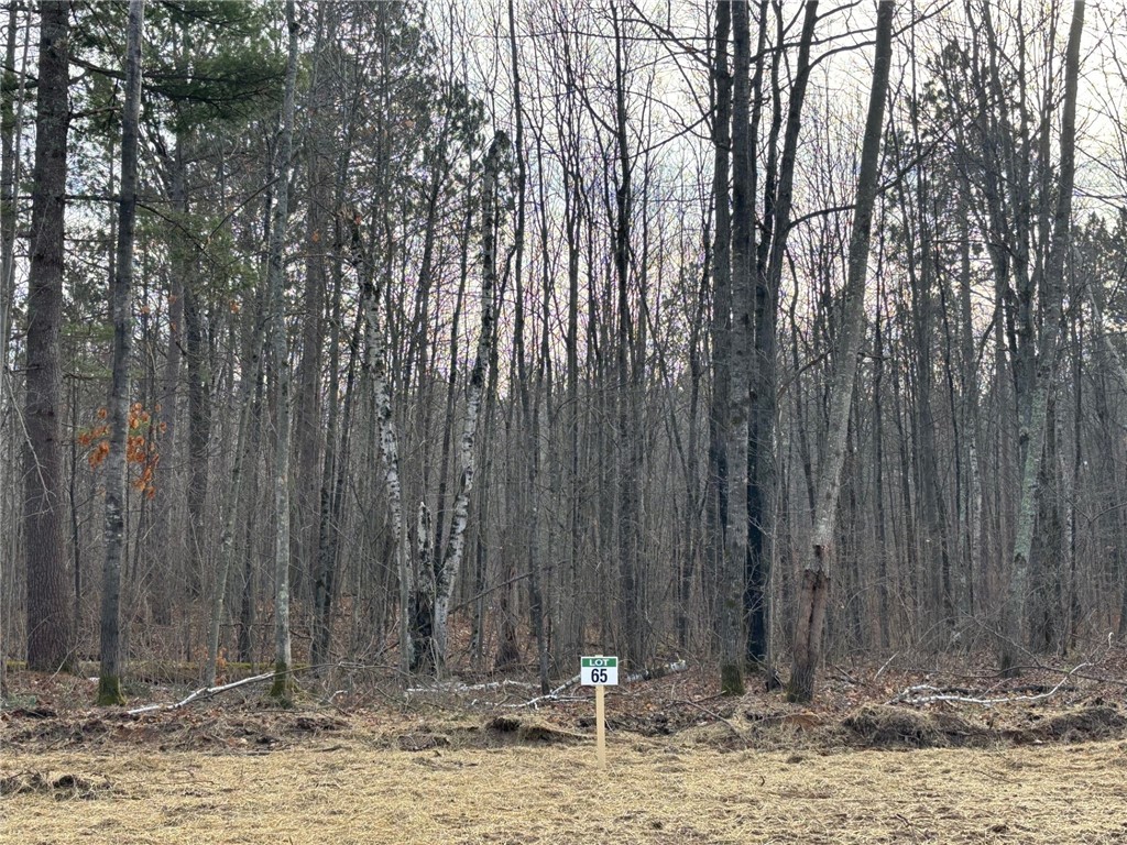 Lot 65 Vasa Road Hayward WI 54843 1597002 image19