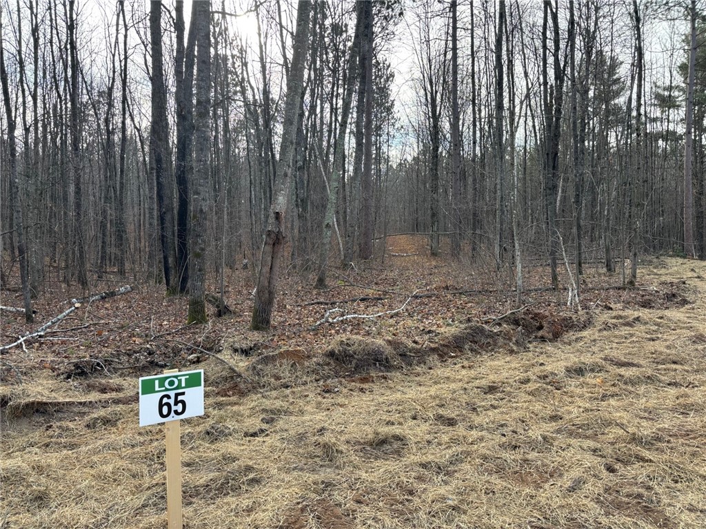Lot 65 Vasa Road Hayward WI 54843 1597002 image2