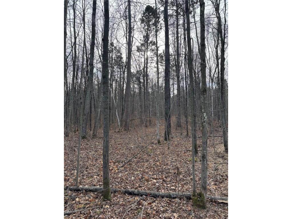 Lot 65 Vasa Road Hayward WI 54843 1597002 image21