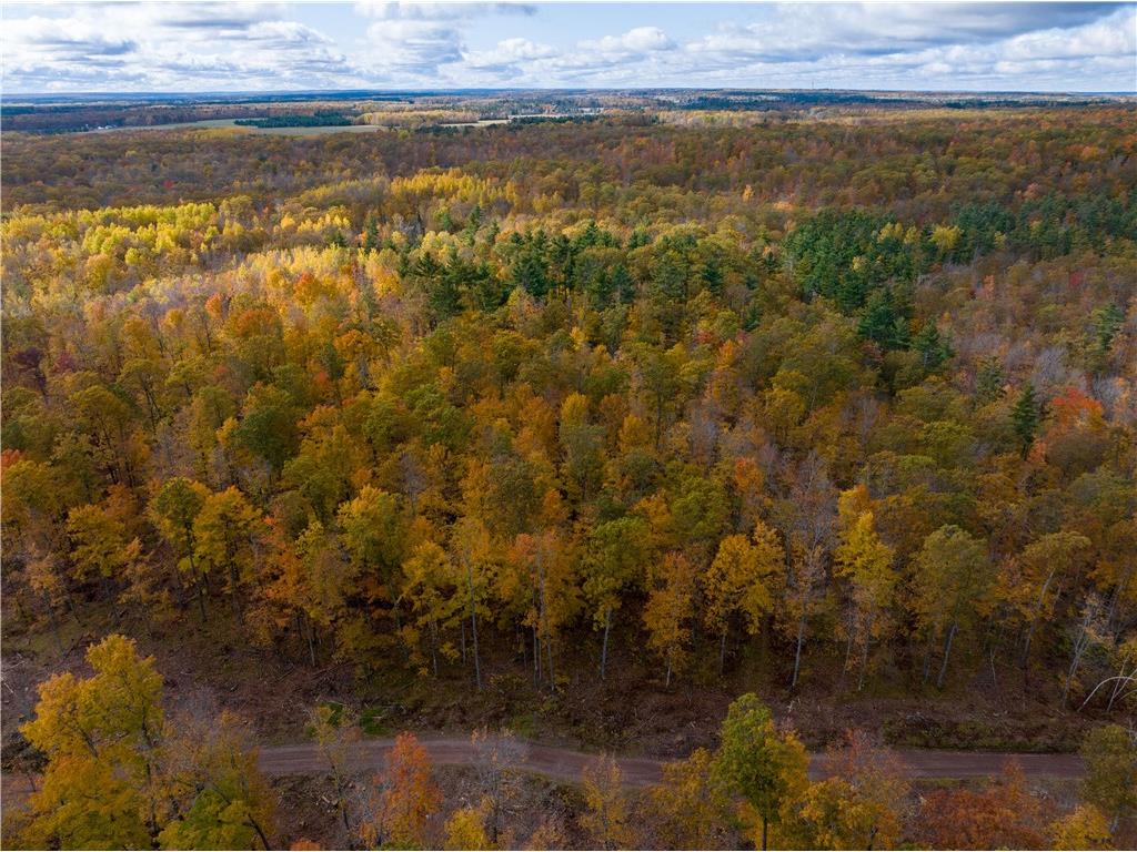 Lot 65 Vasa Road Hayward WI 54843 1597002 image9