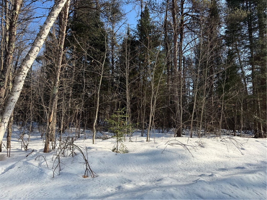 Lot 66 Hickory Court Cable WI 54821 1598857 image1