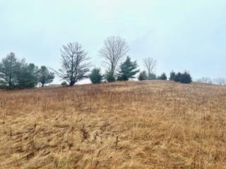 Lot 68 Van Buren Street Black River Falls WI 54615 1586805 image1