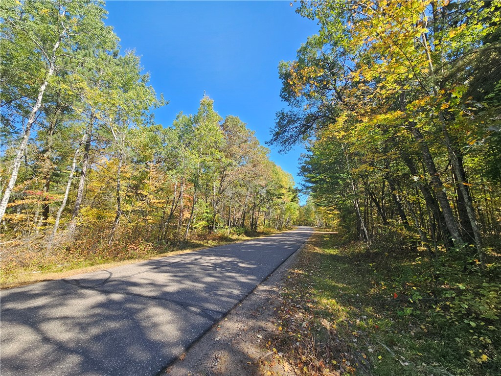 Lot 7 1.83 +/- Acres 295th Avenue Holcombe WI 54745 1595497 image10
