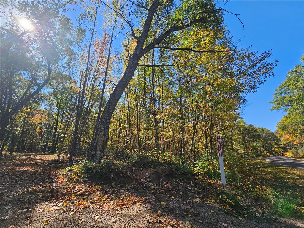 Lot 7 1.83 +/- Acres 295th Avenue Holcombe WI 54745 1595497 image2