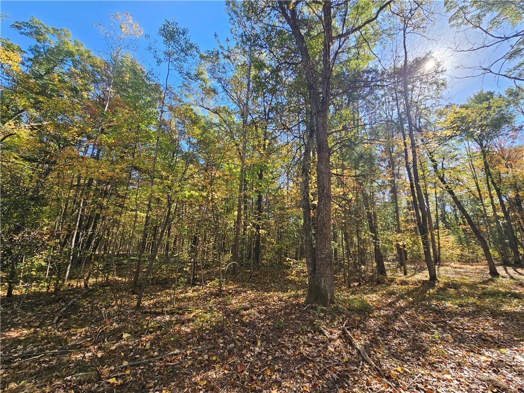 Lot 7 1.83 +/- Acres 295th Avenue Holcombe WI 54745 1595497 image3