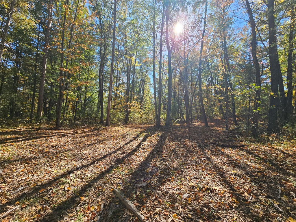 Lot 7 1.83 +/- Acres 295th Avenue Holcombe WI 54745 1595497 image4