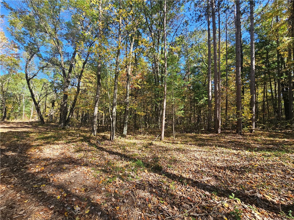 Lot 7 1.83 +/- Acres 295th Avenue Holcombe WI 54745 1595497 image5
