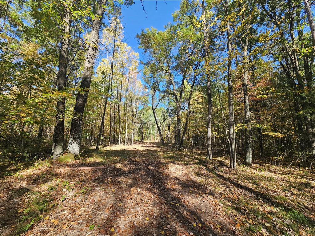 Lot 7 1.83 +/- Acres 295th Avenue Holcombe WI 54745 1595497 image6