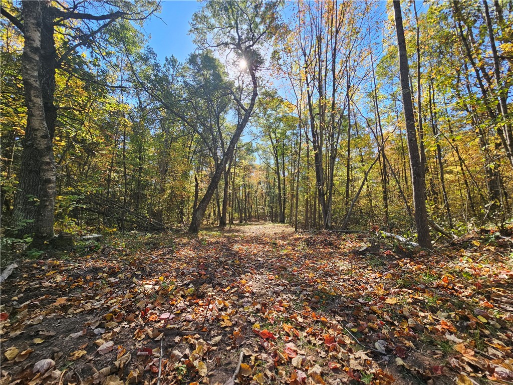 Lot 7 1.83 +/- Acres 295th Avenue Holcombe WI 54745 1595497 image7