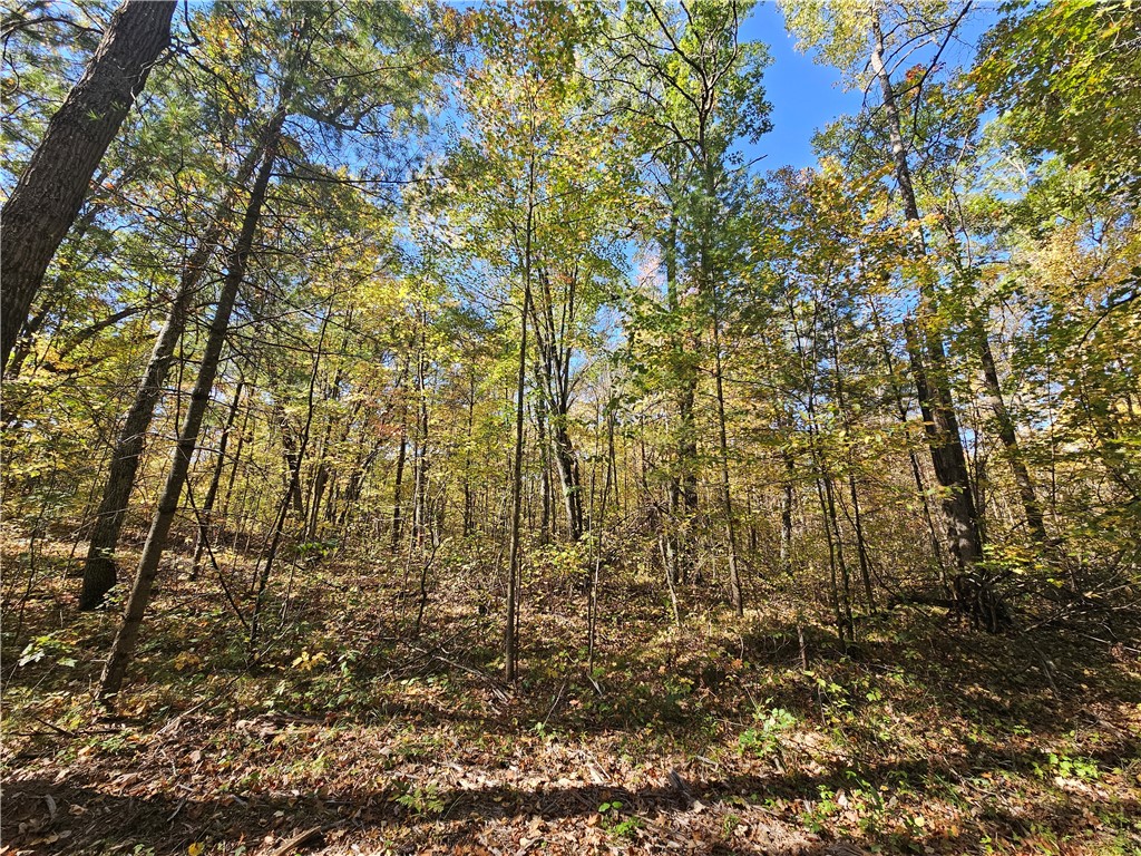 Lot 7 1.83 +/- Acres 295th Avenue Holcombe WI 54745 1595497 image8