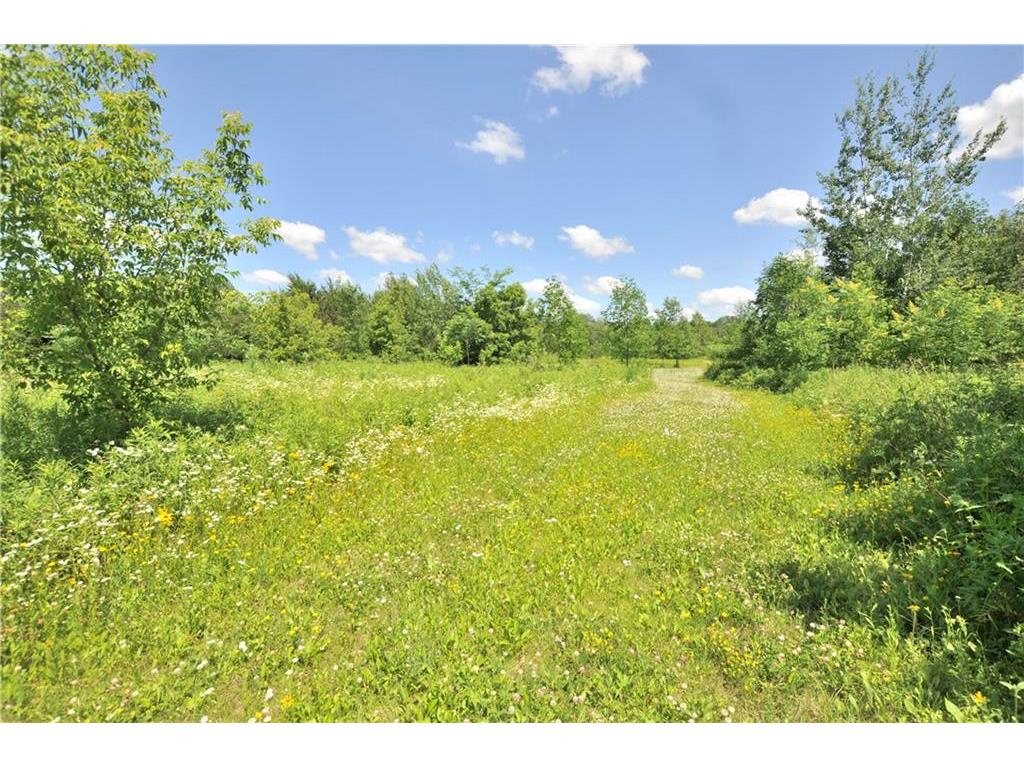 Lot 7 305th Avenue Holcombe WI 54745 - JUMP 1543870 image1
