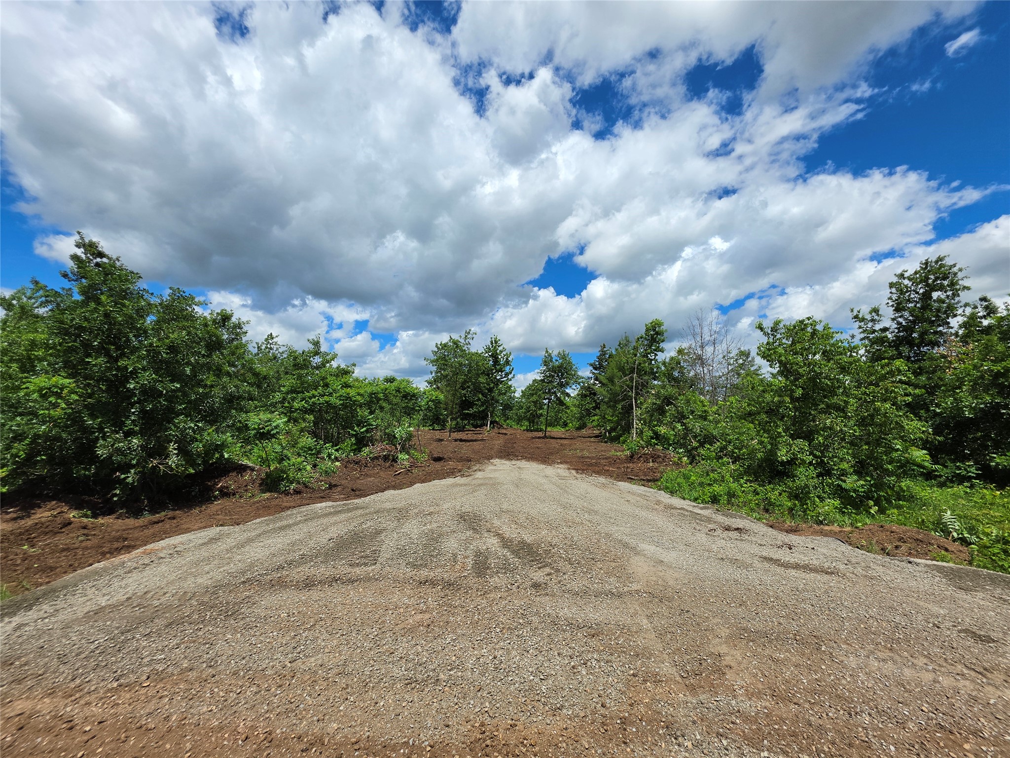 Lot 7 & 8 370th Avenue Elk Mound WI 54739 1601390 image1
