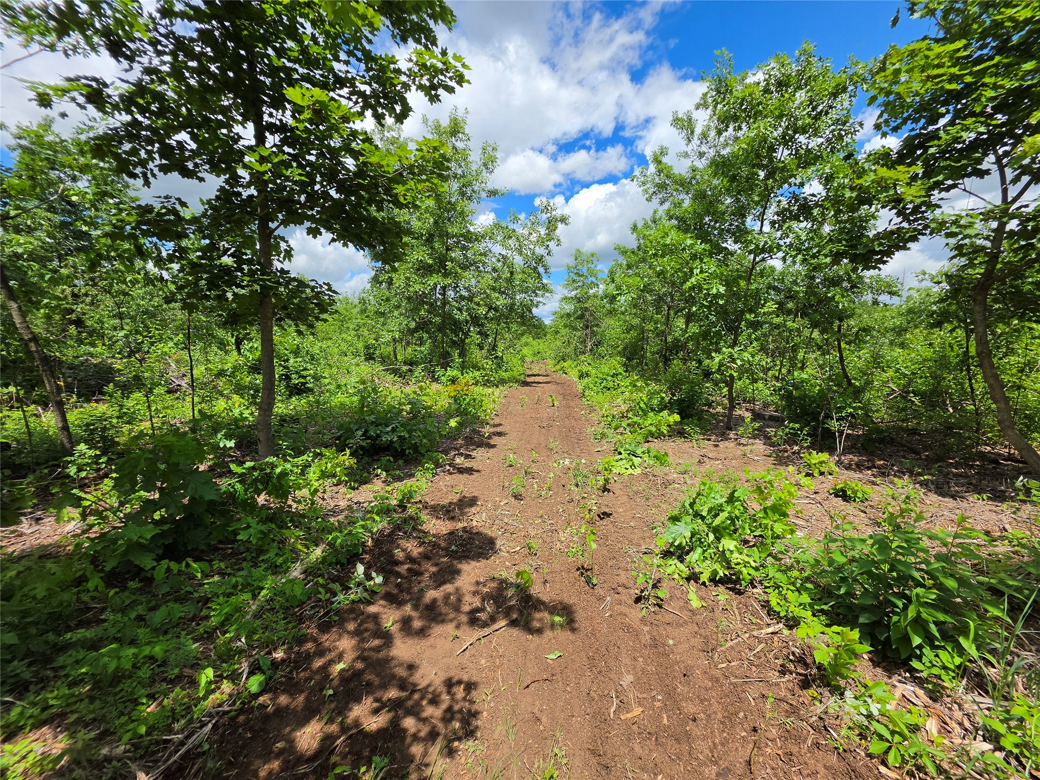 Lot 7 & 8 370th Avenue Elk Mound WI 54739 1601390 image11